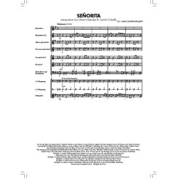 Bl&auml;serKlasse Chart-Hits - Partitur : Angesagte Popnummern f&uuml;r den gro&szlig;en Auftritt